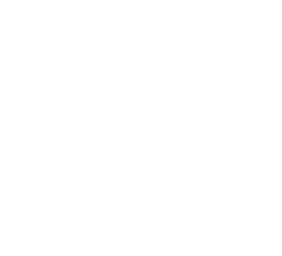 Logo MG