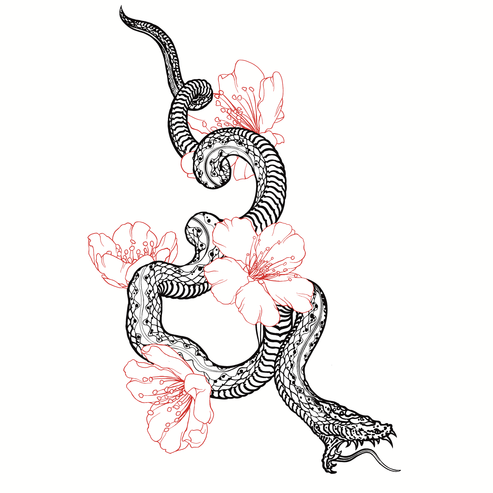 Serpent