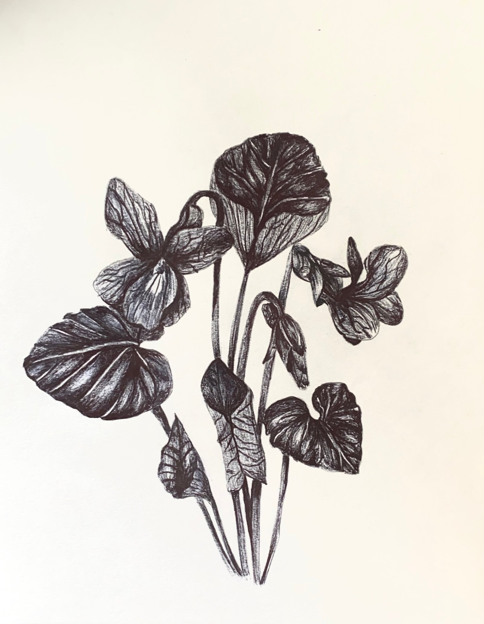 Fleur
